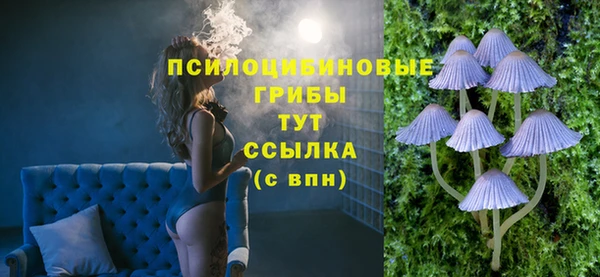 мдпв Лабытнанги