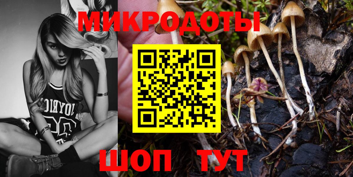 Галлюциногенные грибы Psilocybe  Галлюциногенные грибы прущие грибы  Брянск  Вход с VPN 