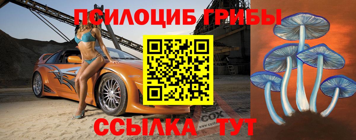 Галлюциногенные грибы прущие грибы  Брянск 