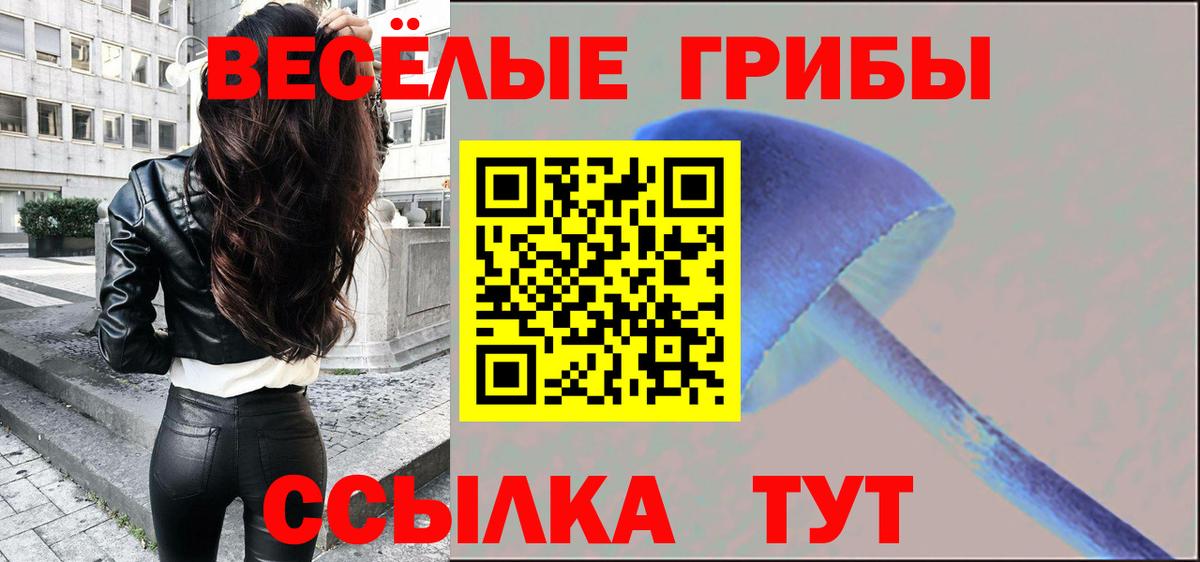 Псилоцибиновые грибы ЛСД Брянск