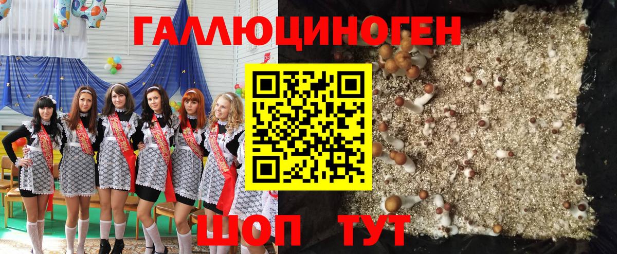 Бошки Шишки Брянск